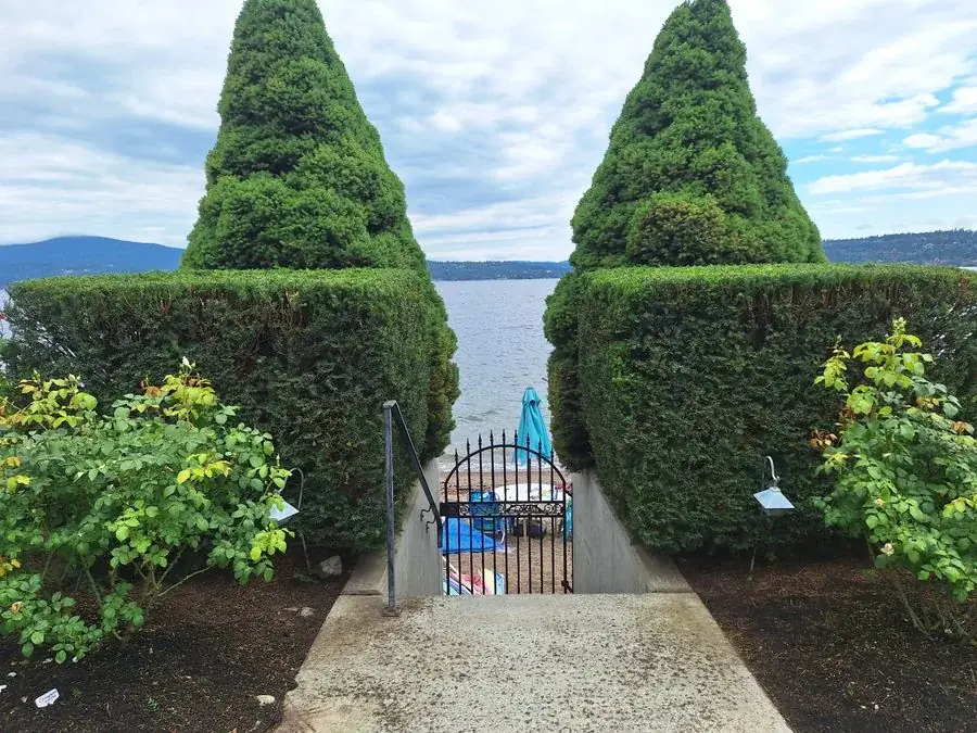 Lakeside path framed by topiaries